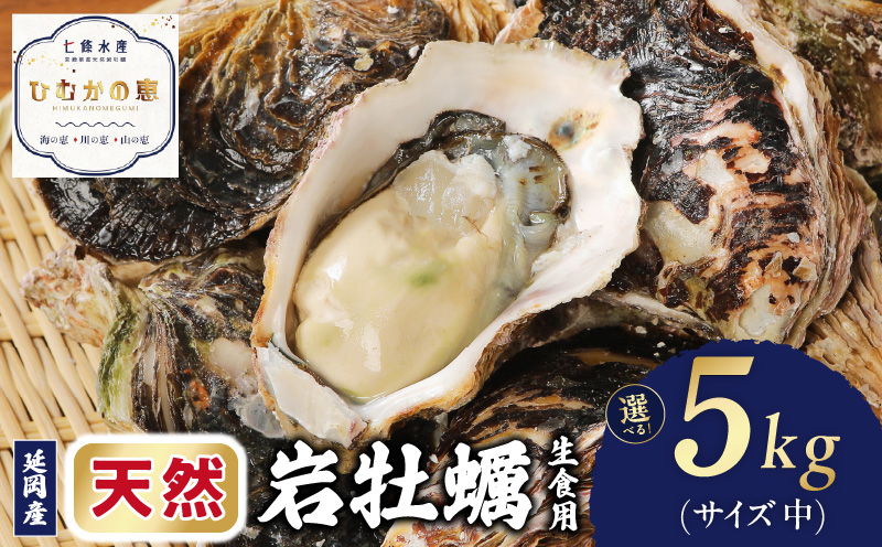 延岡産天然岩牡蠣（生食用）5kg（中）（2025年4月から発送開始 N036-YB306