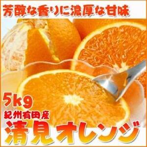 【魚鶴商店厳選】和歌山人気の柑橘定期便（有田みかん・不知火・清見オレンジ）【定期便全3回】