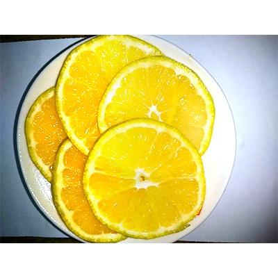 ふるさと納税 宇城市 先行予約 レモン 食べるレモン スイートレモネード 2kg |  | 01