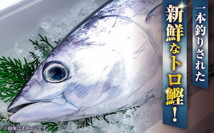 黒潮の赤い宝玉 本場土佐の『鰹の藁やきたたき』1.5節~2節 約700g かつお 鰹 藁焼き カツオ 高知 ワラ 美味しい 【有限会社 蔵多堂】 [ATAE001]