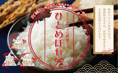 白米 多賀城産ひとめぼれ 精米20kg(5kg×4袋)5年産 【04209-0215】 白米 ひとめぼれ 5年産 白米 宮城米 精米