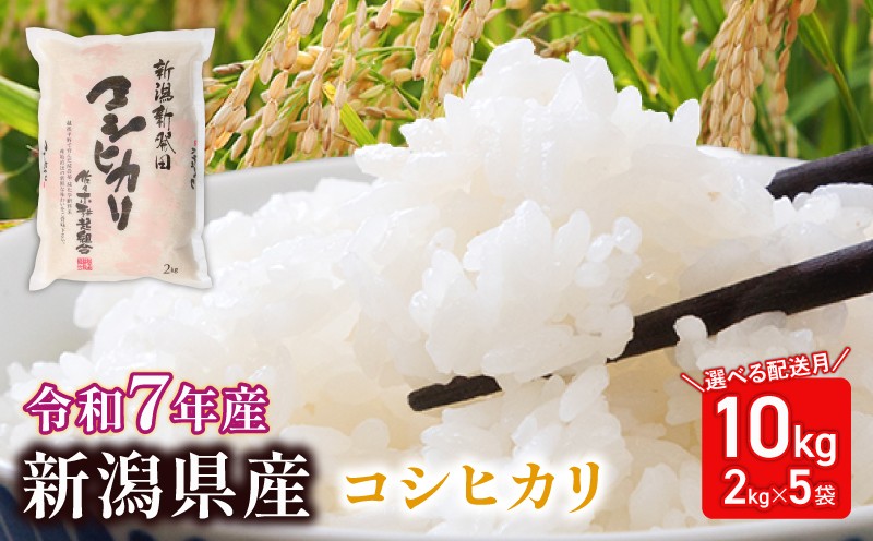 
            米 コシヒカリ 特別栽培米 計10kg 2kg × 5袋 選べる発送月 令和7年産 7年産 新米 新潟県産 お米 白米 ご飯 精米 玄米 おにぎり 弁当 個包装 小分け プレゼント ギフト 贈答 のし 佐々木耕起 佐々木こうき 佐々木耕起組合 新潟県 新発田市 sasakikoki005P
          