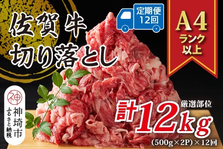 【12か月定期便】艶さし！【A4～A5】佐賀牛切り落とし 1kg(500g×2P)×12回【肉 牛肉 ブランド牛 黒毛和牛 ふるさと納税】(H112314)