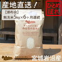 【ふるさと納税】【定期便6ヵ月連続】岩沼みんなの家の「みんなのお米！」ひとめぼれ無洗米5kg×6ヶ月　【定期便・お米・ひとめぼれ・米・無洗米】