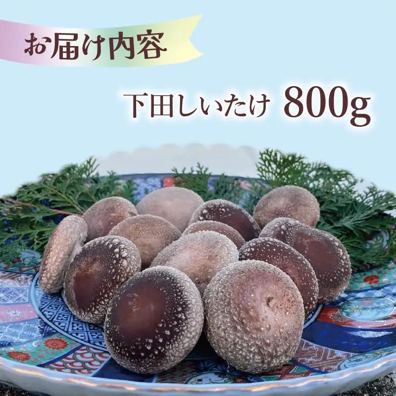 しいたけ 800g 椎茸 先行予約 菌床椎茸 きのこ 静岡 下田 伊豆 養鶏 farm1987