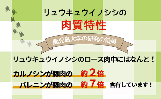 【鹿児島徳之島】イノシシ焼肉用セット１ｋｇ イノシシ肉 猪肉 ジビエ AI-16