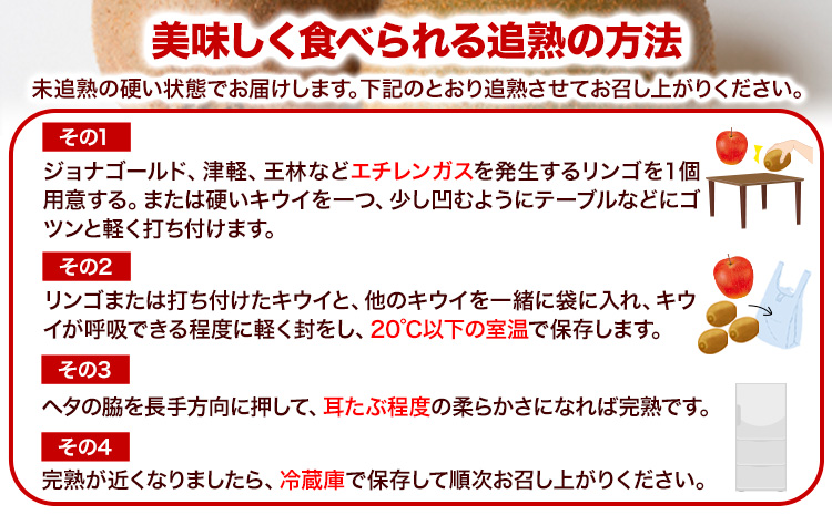 先行予約 ご家庭用 キウイ フルーツ 約1kg ＋250g (傷み補償分) 池田鹿蔵農園@日高町（池田農園株式会社）《11月中旬～2027年4月下旬出荷》【配送不可地域あり】和歌山県 日高町 わけあり
