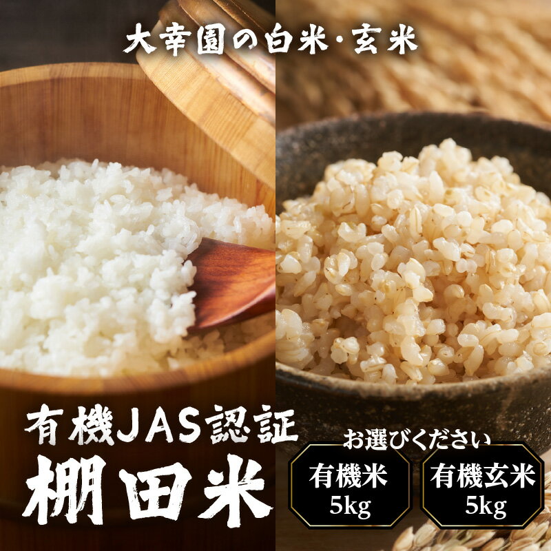 【ふるさと納税】【選べる種類】大幸園の米 有機JAS 認証 棚田米 5kg （有機米・有機玄米） 米 お米 白米 玄米 有機米 有機玄米 甘い 有機栽培 無農薬 縁結び米 福岡県 八女市