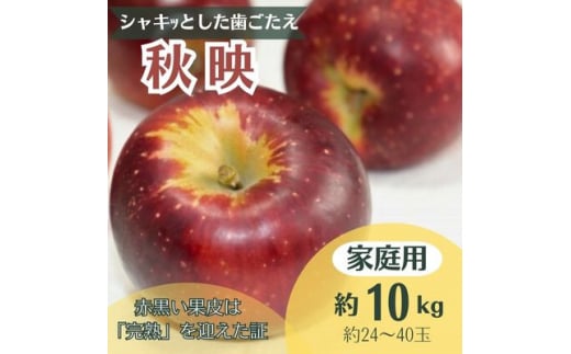 りんご 秋映 約10kg 家庭用(24～40玉)【1495960】