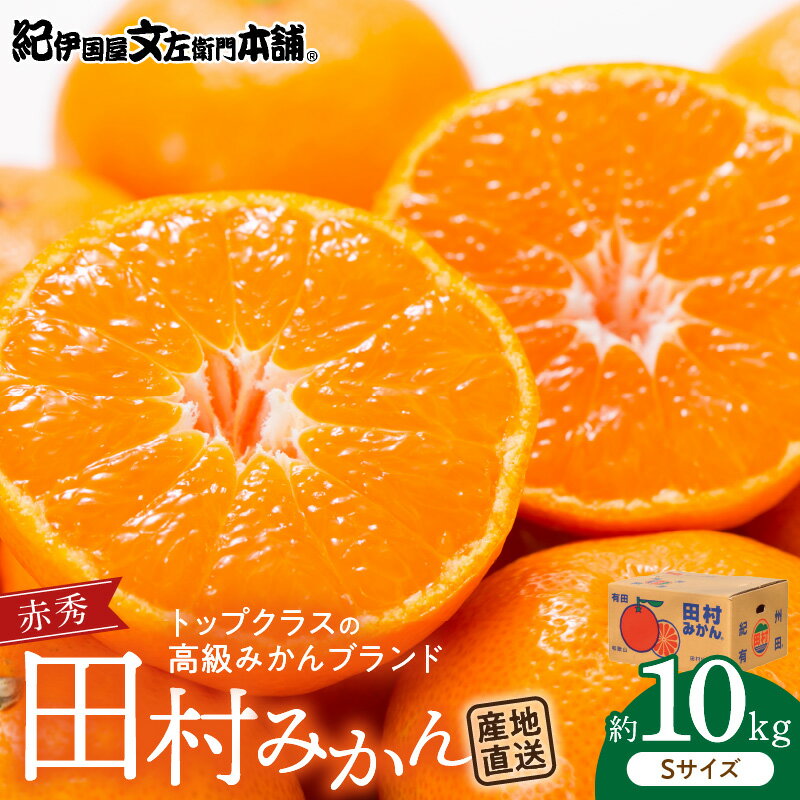 【ふるさと納税】 田村みかん／特選ギフト品10kg【Sサイズ】赤秀／紀州和歌山有田郡湯浅町田村地区産／最高級プレミアムブランドの田村ミカン／紀伊国屋文左衛門本舗(お届け日指定不可)