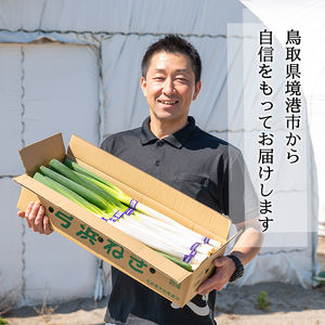＜先行予約受付中！11月上旬～4月下旬発送予定＞白ねぎ(9kg) ねぎ ネギ 白ネギ 長ねぎ 長ネギ 旬 根付き 土付き 煮込み 炒め 生 和洋中 万能 鍋 鍋料理 BBQ バーベキュー 天ぷら てん