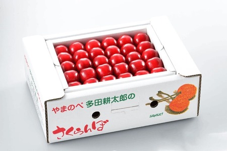 《先行予約》2025年 山形県産 紅秀峰 本詰め 約500g 2L やまのべ多田耕太郎のさくらんぼ サクランボ F20A-046