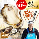 【ふるさと納税】特選 牡蠣三昧！【生牡蠣】【選べる配送月・日】カンカン焼き（ナイフ付き）3kg (加熱用) 人気 かき カキ 広島 料理 簡単 レシピ 海鮮 ギフト 広島県産 江田島市/株式会社門林水産[XAO012] 牡蠣 むき身 殻付き かき カキ 生牡蠣 カキフライ 広島牡蠣