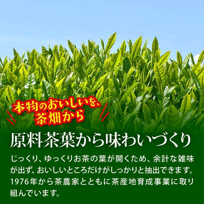131-38 おーいお茶 緑茶 計 24本 1L × 12本 2ケース 防災備蓄 茶 ペットボトル 飲料 伊藤園