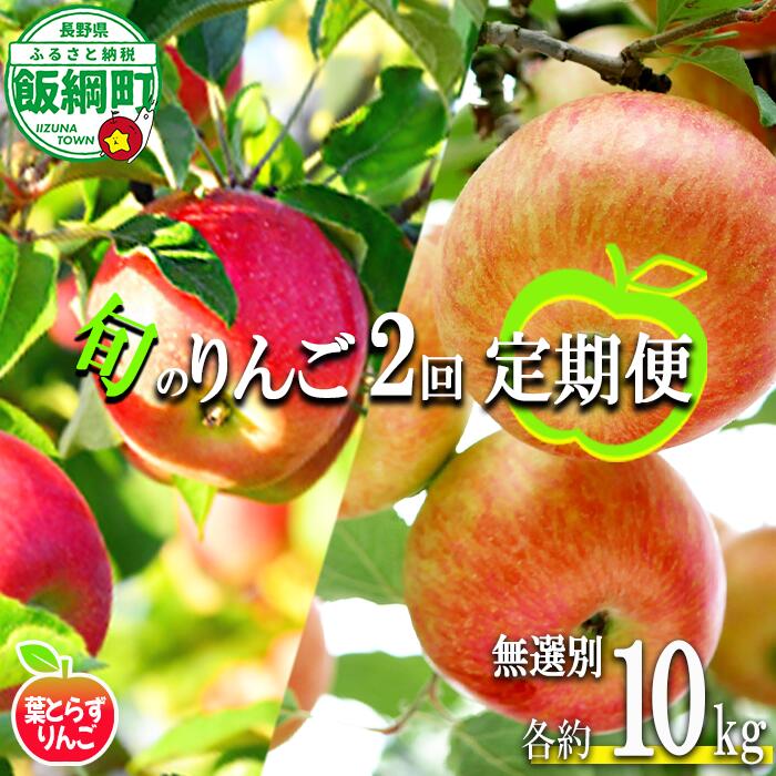 【ふるさと納税】 季節のりんご 【 定期便 】 旬の2品種 葉とらず 無選別 10kg × 2回 エバラ農園 〔 果物 フルーツ 林檎 長野 予約 農家直送 10キロ 定期便 〕【令和8年度収穫分】 発送：2026年10月中旬〜