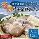 【ふるさと納税】【千葉県ブランド認定】天然特大活はまぐり《1.5kg》／ふるさと納税 はまぐり ハマグリ 蛤 貝類 魚介 海鮮 お吸い物 パスタ パエリア お歳暮 贈答 お祝い 千葉県 山武市 SMBO003