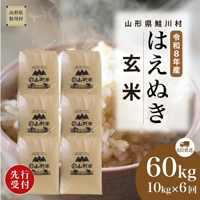 【ふるさと納税】＜令和8年産米先行受付＞ 鮭川村 はえぬき 【玄米】60kg （10kg×1ヶ月間隔で6回お届け）＜配送時期選べます＞