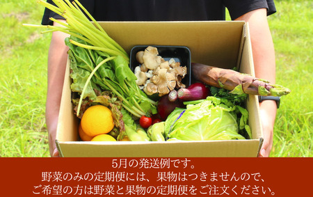 旬の野菜セット 2ヶ月の定期便　【 朝どれ 野菜 やさい 新鮮 】