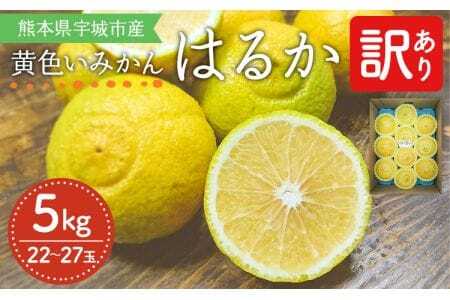 【先行予約】 みかん 訳ありみかん はるか 約5kg（22玉～27玉）【吉田レモニー】【2026年2月上旬～2026年5月下旬発送】はるかみかん 国産はるかみかん 熊本県産はるかみかん 宇城市産はるかみかん