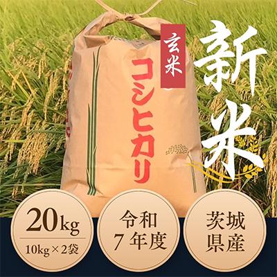 ふるさと納税 ひたちなか市 令和7年度　ひたちなか市産コシヒカリ玄米20kg(10kg×2袋)