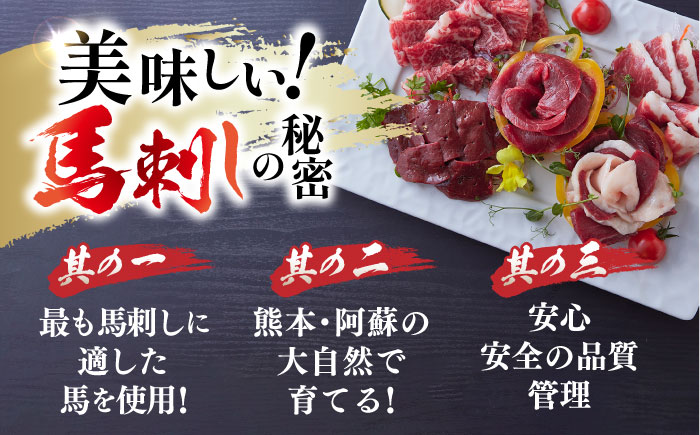 【全6回定期便】国内肥育 馬刺し 特選赤身 約500g 専用タレ付き 熊本 山都町 冷凍 馬肉 馬刺 ヘルシー 小分け【有限会社 丸重ミート】[YAK028]