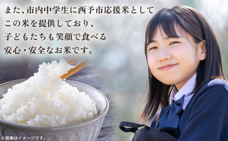 新米＜令和7年産 愛媛県西予市産 コシヒカリ 田んぼダム米 10kg＞ 10キロ こしひかり 西予応援米 宇和米 お米 コメ こめ 白米 精米 米 国産 愛媛県産 宇和町産 和みファーム 愛媛県 西予