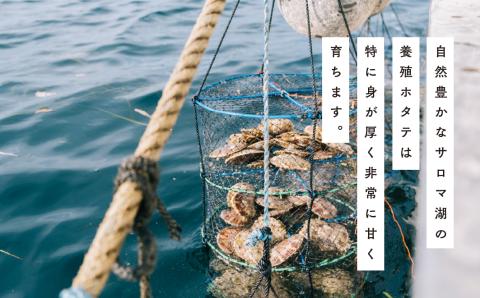 【国内消費拡大求む】≪先行予約2024年11月から配送≫北海道サロマ湖産　貝付きホタテ6枚・カキ約2kg　ほたて　帆立　刺身　牡蠣　かき　海鮮　魚介　殻付き　貝付き　冷蔵　サロマ湖　オホーツク　おほー