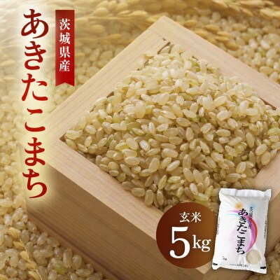 令和8年産 新米 あきたこまち 玄米 5kg | 米 あきた小町 茨城県かすみがうら市
