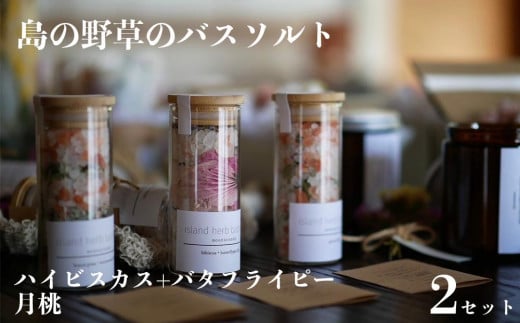 【ふるさと納税】バスソルト 「ハイビスカス+バタフライピー」＆「月桃」 セット