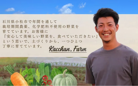 【定期便6ヶ月】季節の野菜詰め合わせ Aセット 野菜食べ比べ 旬の野菜 野菜セット定期便 | 石川県 小松市 【Kacchan.Farm】