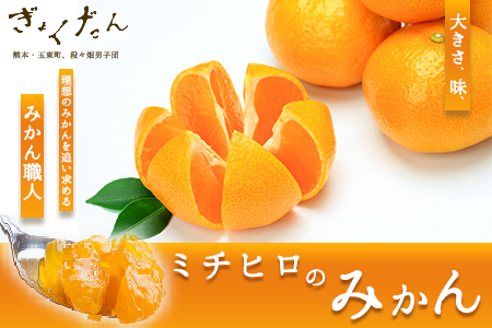ぎょくだん『ミチヒロ』のみかん 約5kg(サイズおまかせ)《10月中旬-1月中旬出荷》『熊本・玉東、玉東町段々畑男子団。』ぷらっとぎょくとう