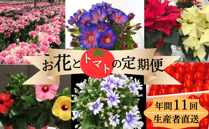 
モリヒロ園芸が育てたお花とトマトの定期便（年間11回）
