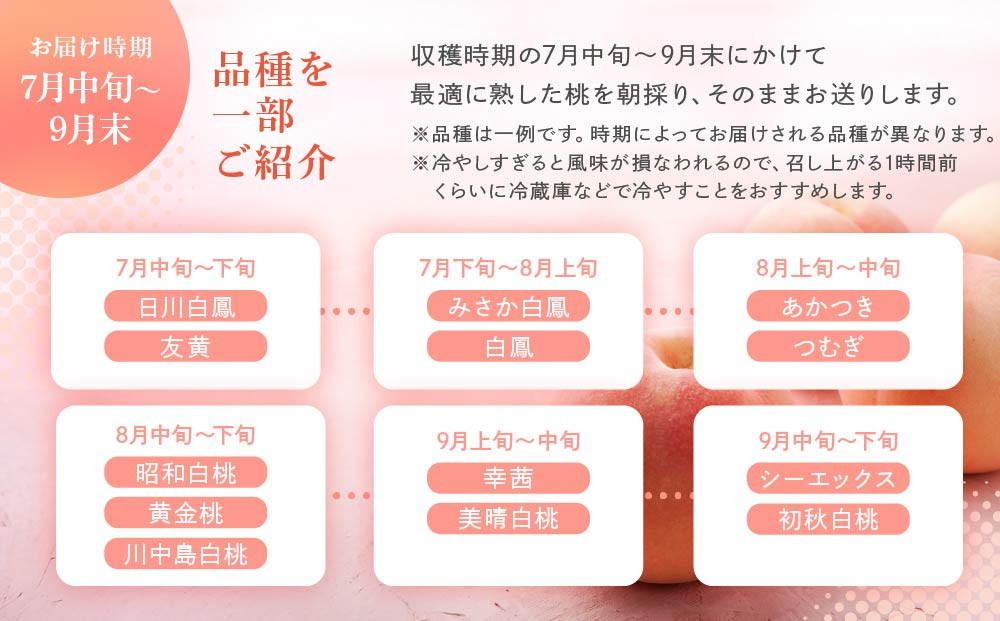 【数量限定/先行予約】≪定期便3回≫ 飛騨のたから桃 食べ比べ定期便4～8玉 糖度11度以上｜7月・8月・9月にお届け！ 桃 おまかせ 旬 果物 飛騨高山 厳選 産直 つむぎ果樹園 GH105