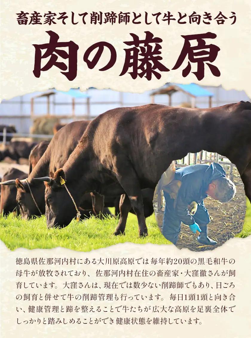 大川原高原牛 赤身モモスライス 500g | 牛肉