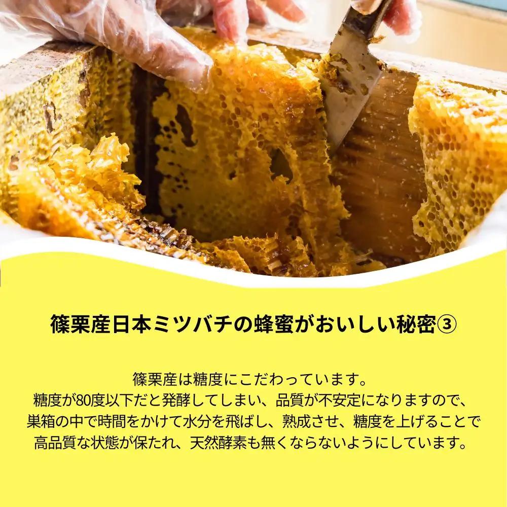 日本蜜蜂「ささぐり里山のはちみつ」（百花蜜）500g AA001 