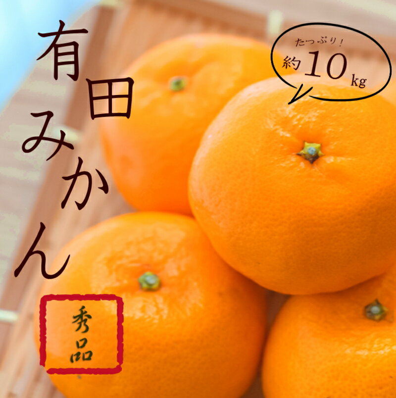 【ふるさと納税】 紀州有田みかん 秀品 約10kgサイズおまかせ(L・М・S) ミカン 柑橘 みかん 有田みかん 和歌山