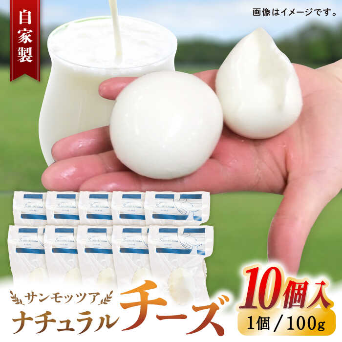 【ふるさと納税】自家製 ナチュラルチーズ サンモッツア 10個 ( 100g × 10個 ) / チーズ モッツァレラチーズ 乳製品 熊本 山都町【山の未来舎】[YBV009]