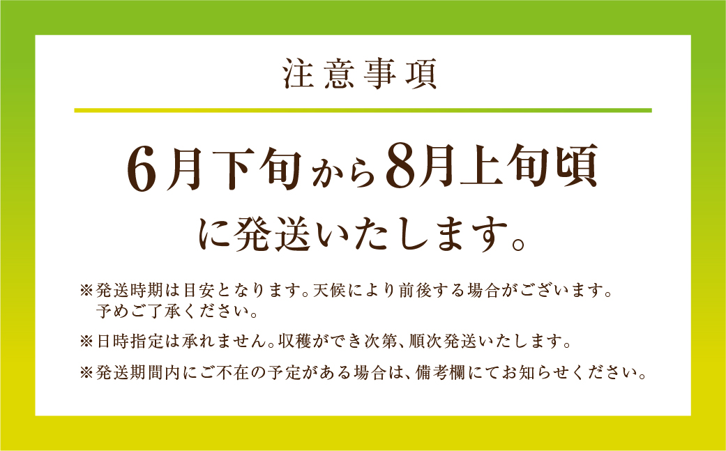 先行予約 数量限定 野菜ソムリエ推薦渥美半島伊良湖潮風育ちマスクメロン3玉大玉サイズ(5.5〜6キロ)カラーギフト箱入り 田原市 伊良湖産 ギフト プレゼント お取り寄せ 渥美半島 農家直送 送料無料
