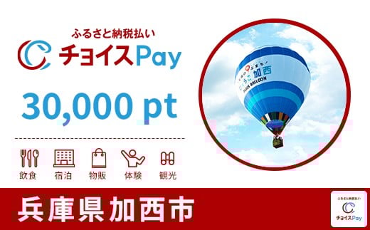 
                  加西市チョイスPay 30,000pt【会員限定のお礼の品】
                