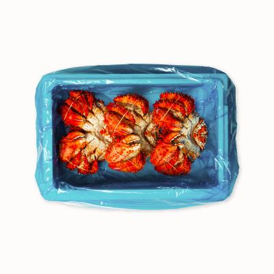 ふるさと納税 根室市 ＜12/14まで年内配送＞★花咲かに800g×3尾(計2.4kg) D-20012 |  | 03