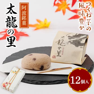 ふるさと納税 阿南市 太龍の里12個入