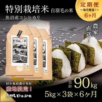 ふるさと納税 十日町市 【毎月定期便】農家直送!魚沼産コシヒカリ特別栽培 精米(5kg×3袋)全6回