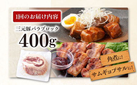 【全2回定期便】三元豚 バラ ブロック 400g 《喜茂別町》【平田牧場】 肉 豚肉 バラ ブロック 煮豚 酢豚 煮物 冷凍 冷凍配送 北海道 定期便[AJAP170]