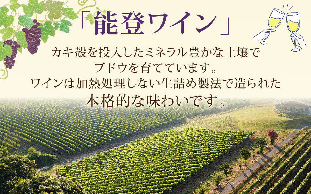 ～ワイン造りはぶどうづくりから～能登ワインの原料は地元の農家さんと共に心を込めて育てられたブドウです。