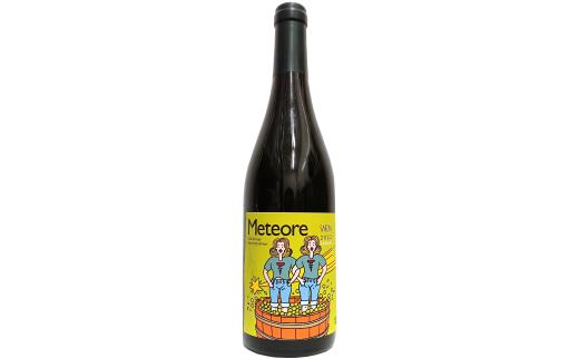 白ワイン<メテオレ> 750ml × 1本 ｜ ワイン 辛口 シャルドネ ゲヴュルツトラミネール 国産 千曲市 長野県産 信州