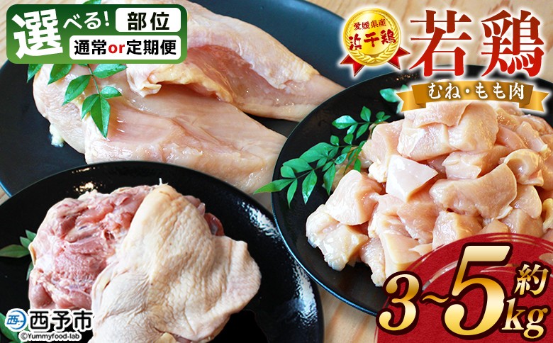 
            選べる部位・配送回数＜愛媛県産 銘柄鶏 浜千鶏（はまちどり）若鶏 むね肉／もも肉 3～5kg＞国産 鶏肉 大容量 業務用 家庭用 鳥肉 とり チキン ムネ モモ 精肉 塊 ブロック 切り身 カット済み 定期便 産地直送 愛媛県 西予市【冷凍】
          