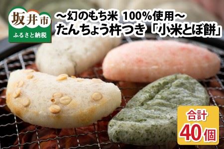 【先行予約】 たんちょう杵つき「小米とぼ餅」 計40枚 ～幻のもち米100％使用～ 【2024年11月下旬以降順次発送予定】 【つきたて モチモチ 添加物・保存料不使用 焼いてそのままでも おやつに 