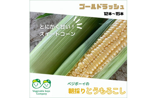 朝採りとうもろこし ゴールドラッシュ 12本～15本 埼玉県産 トウモロコシ 甘いとうもろこし