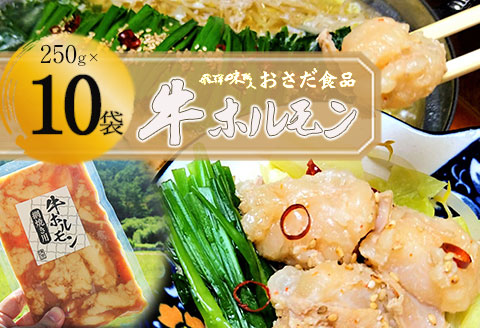 【飛騨 味職人】牛ホルモン 網焼き用（250g×10袋）飛騨 牛肉 ホルモン BBQ 味付け 贈答 ギフト もつ鍋【57-17】