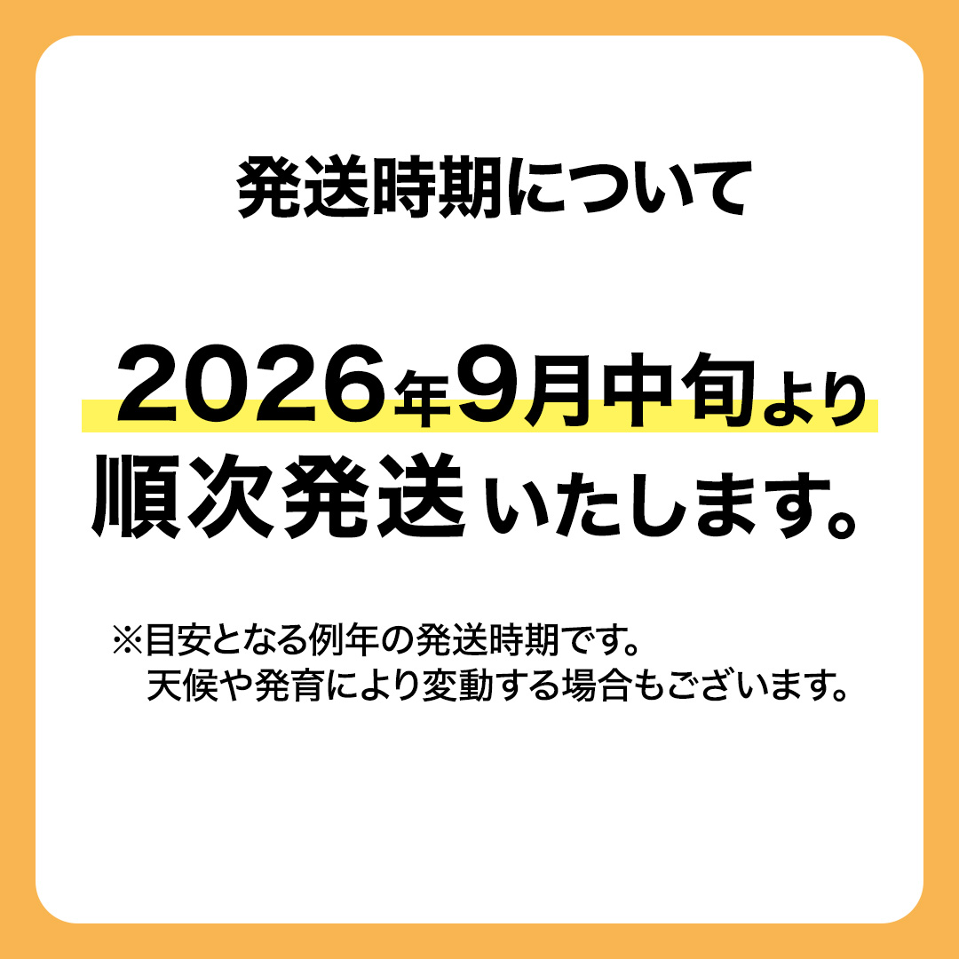 ≪ 種なし ≫ シャインマスカット ・ おまかせ黒ぶどう ・ 秋月 約 1.8kg [よくばりBOX] (茨城県共通返礼品:かすみがうら市) 2026年 マスカット ぶどう 葡萄 ブドウ フルーツ 果
